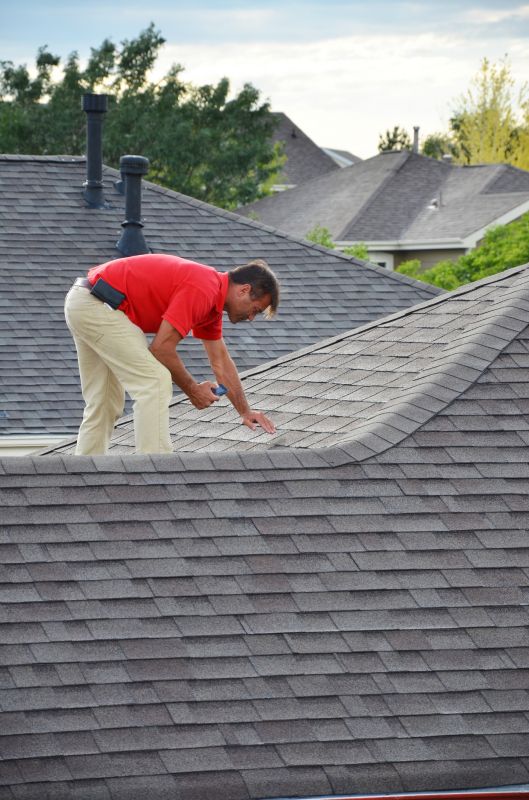 Roofing Professional at Work